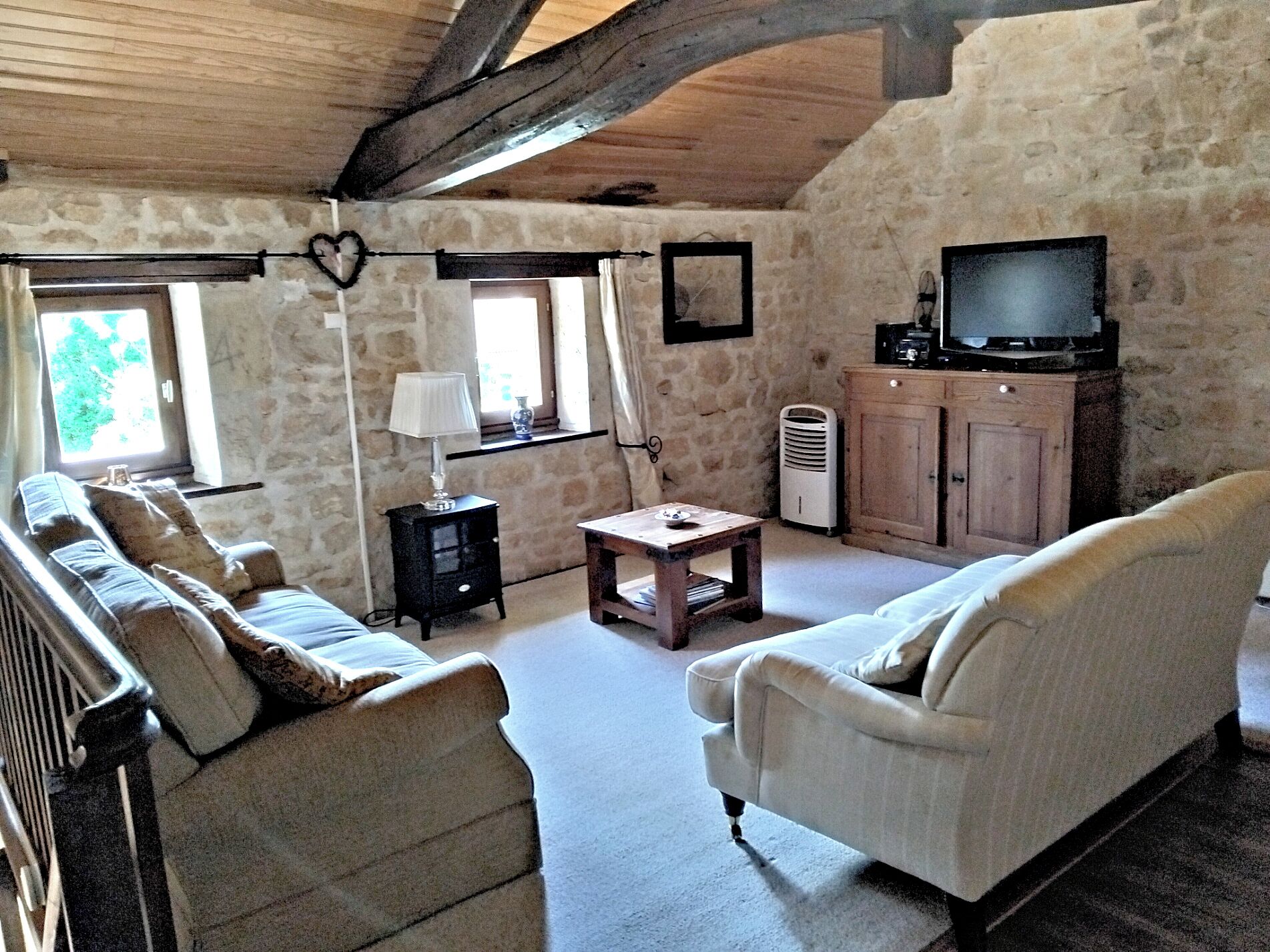 TV, table tennis, books, music library