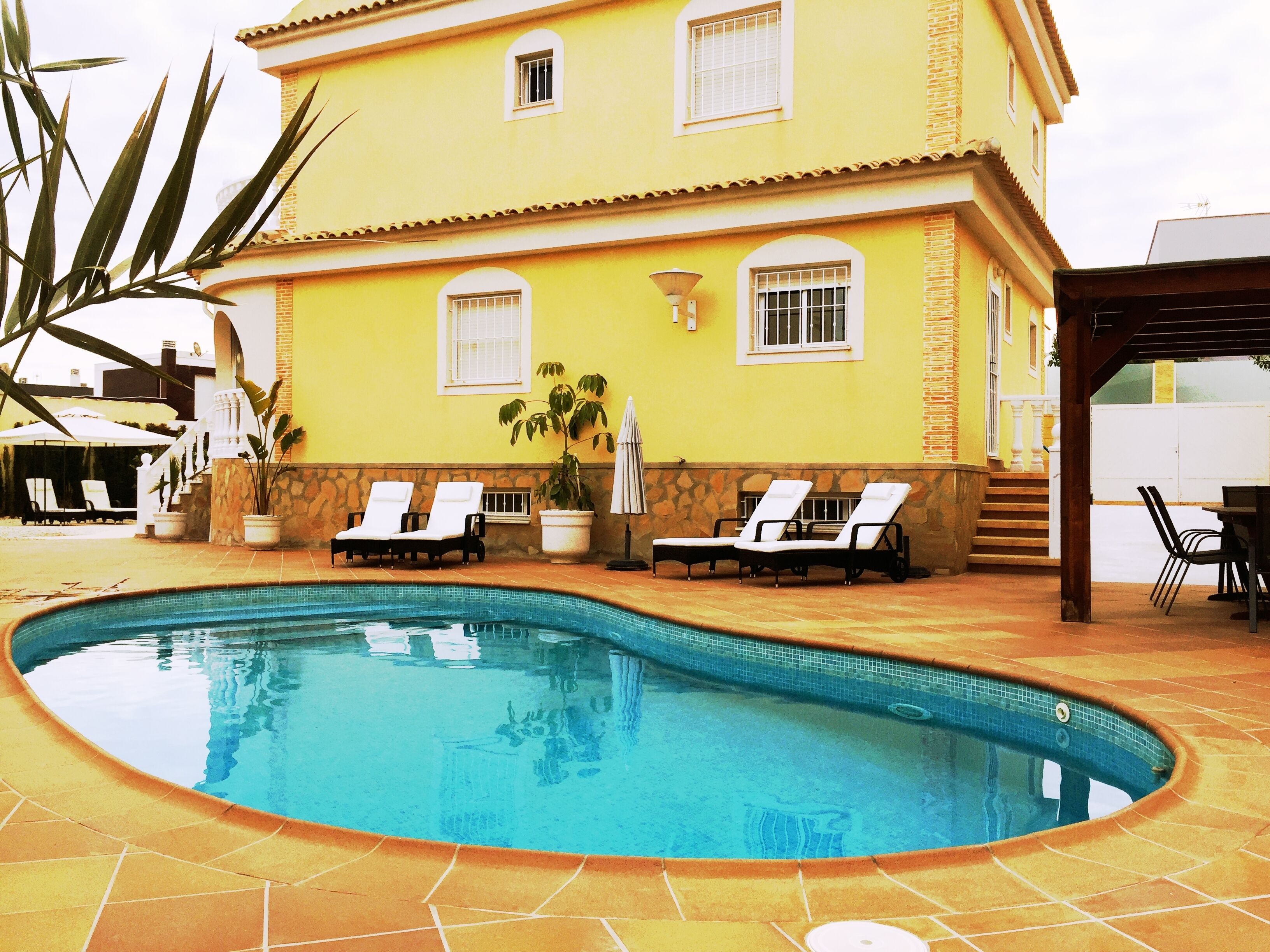 A pool area with two lounge chairs and a potted plant.