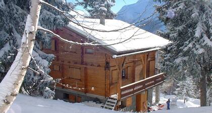 Appartement en chalet , pied des pistes