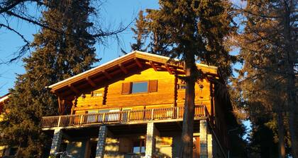 Ferienwohnung - La Rosiere