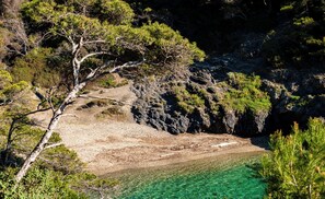 Plage, chaises longues