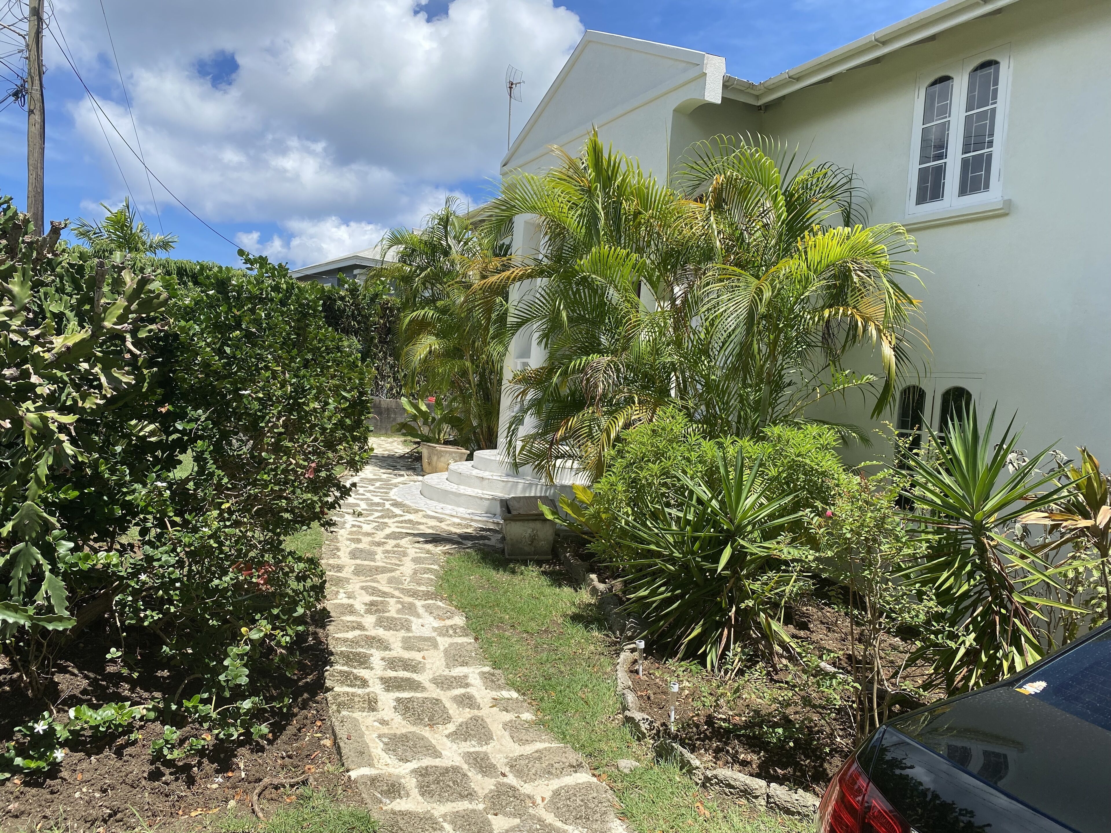 A stone pathway leading to a white building with a small garden and palm trees.