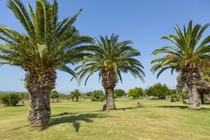 Parco della struttura