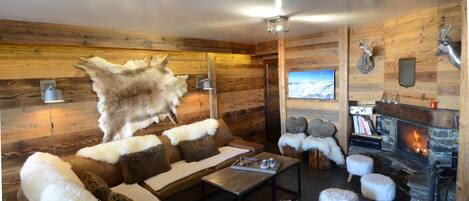 Smart TV, fireplace, books