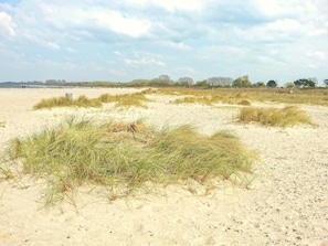On the beach