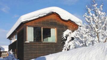 A wooden cabin with a snow-covered roof, a large window, and a snow-covered tree in the foreground.