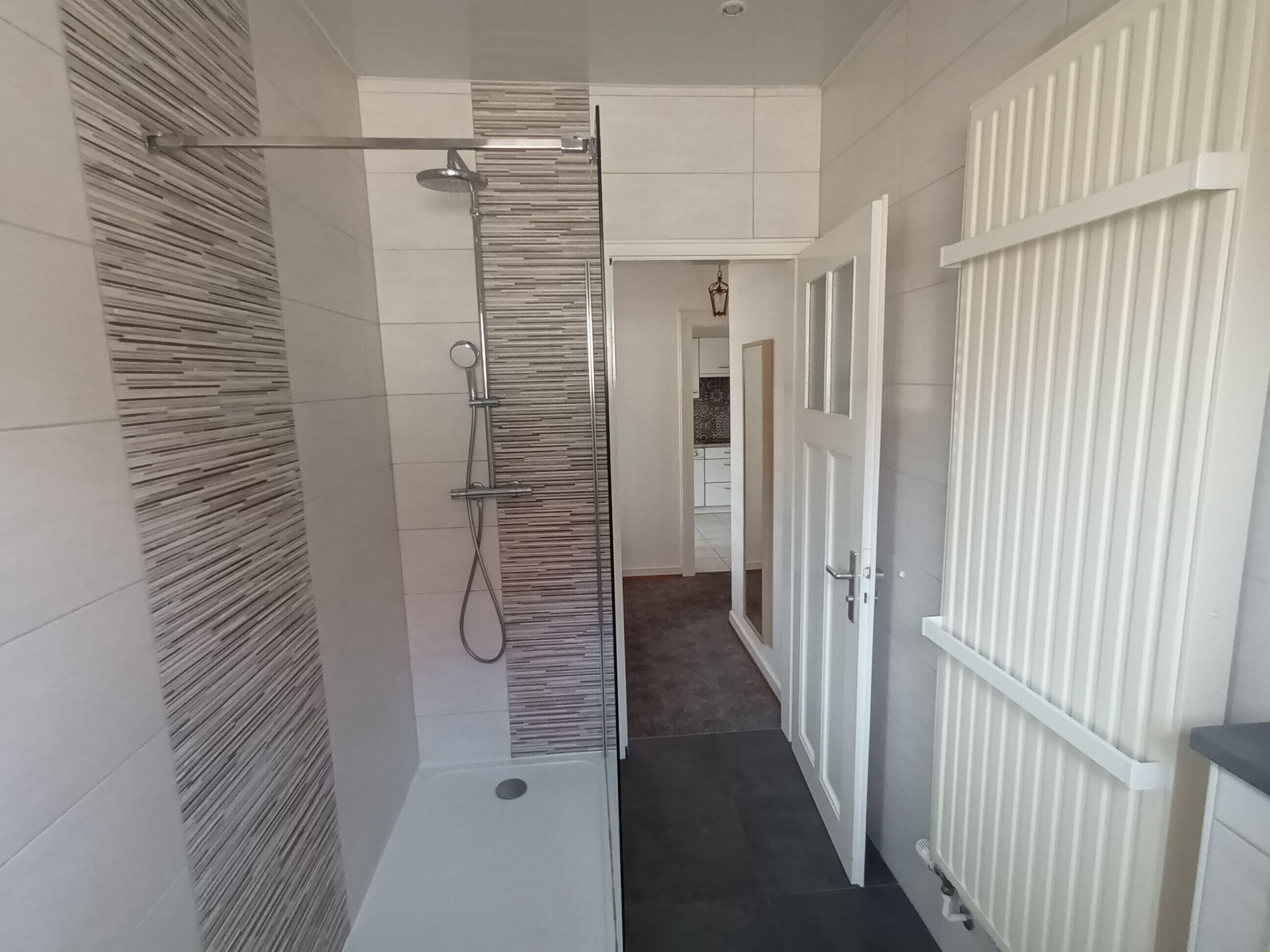 Shower, hair dryer, toilet paper