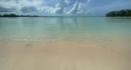 Your Tropical Beach Vacation!