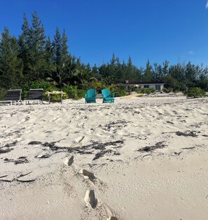 On the beach, sun-loungers, beach towels - Your Tropical Beach Vacation! (Morgans Bluff)