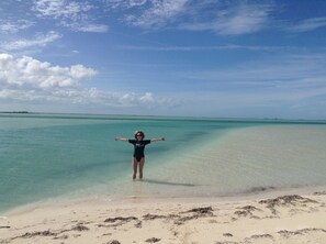 A person standing on a beach with arms outstretched, facing the ocean. - Your Tropical Beach Vacation! (Morgans Bluff)