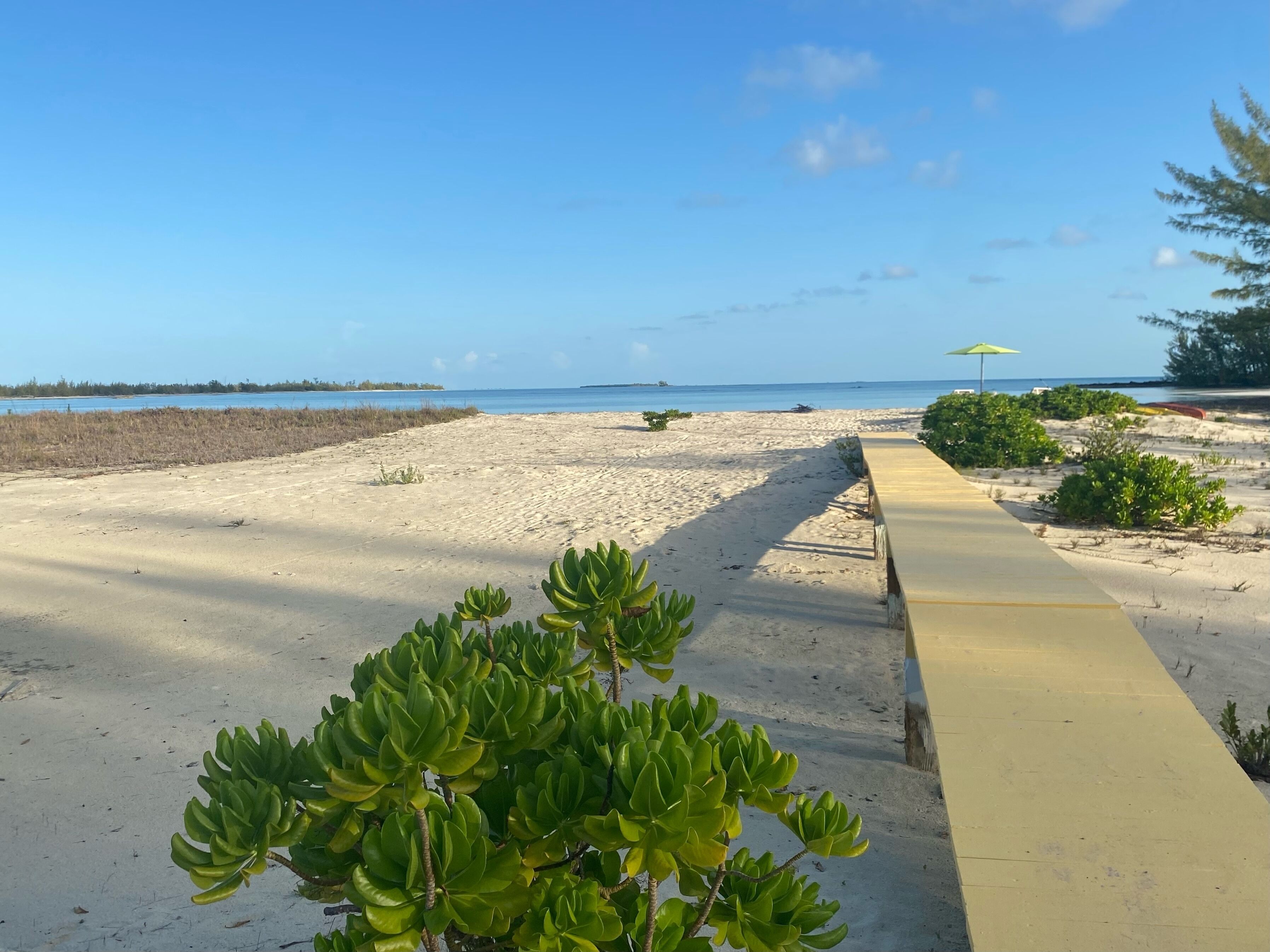 En sandstrand med en betongpromenad som leder ner till vattnet, omgiven av grönska och en klar himmel.