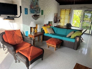 TV, fireplace, DVD player, books