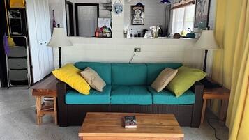 TV, caminetto, lettore DVD, libri