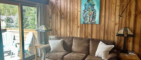 Smart TV, chimenea, libros, videoteca