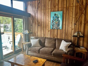 Smart TV, fireplace, books, video library