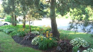 Un giardino curato con diverse piante e alberi, una zona erbosa e un corpo d'acqua sullo sfondo.