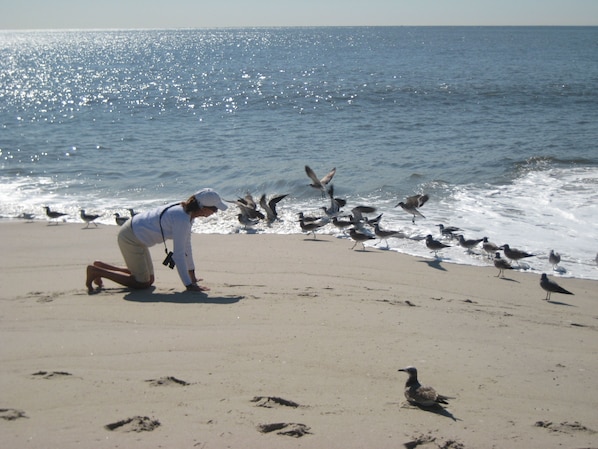 Beach nearby