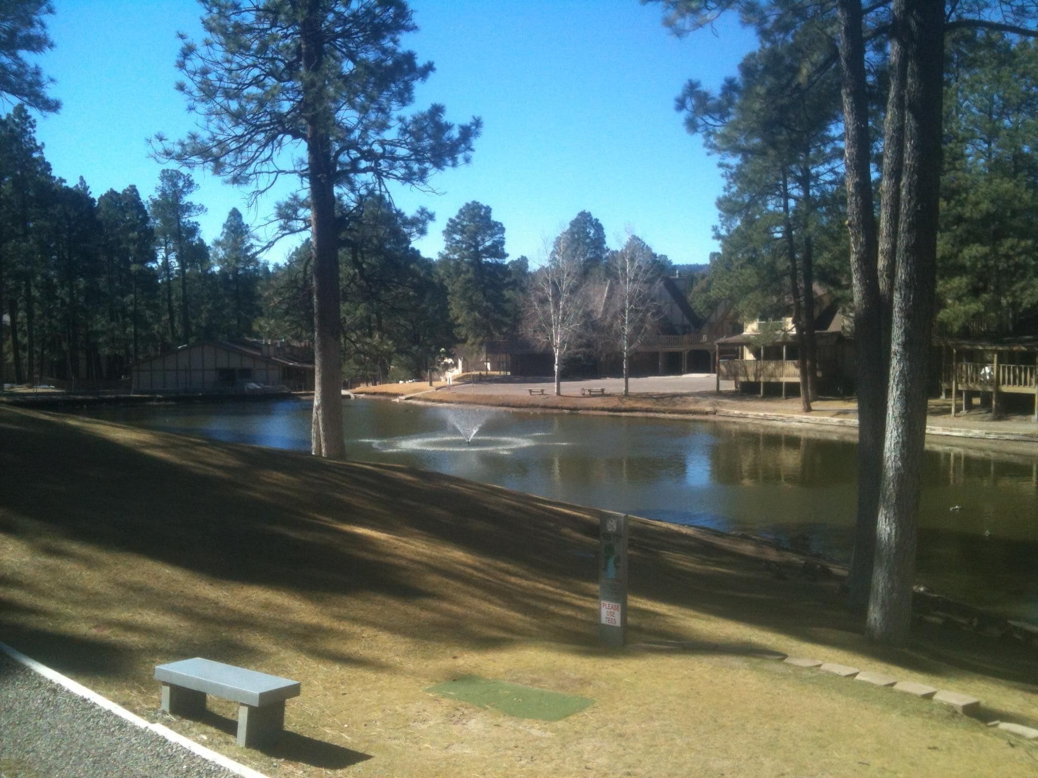 A park with a pond, benches, and trees.