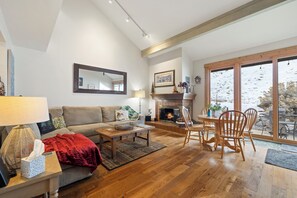 Smart TV, fireplace, DVD player, books