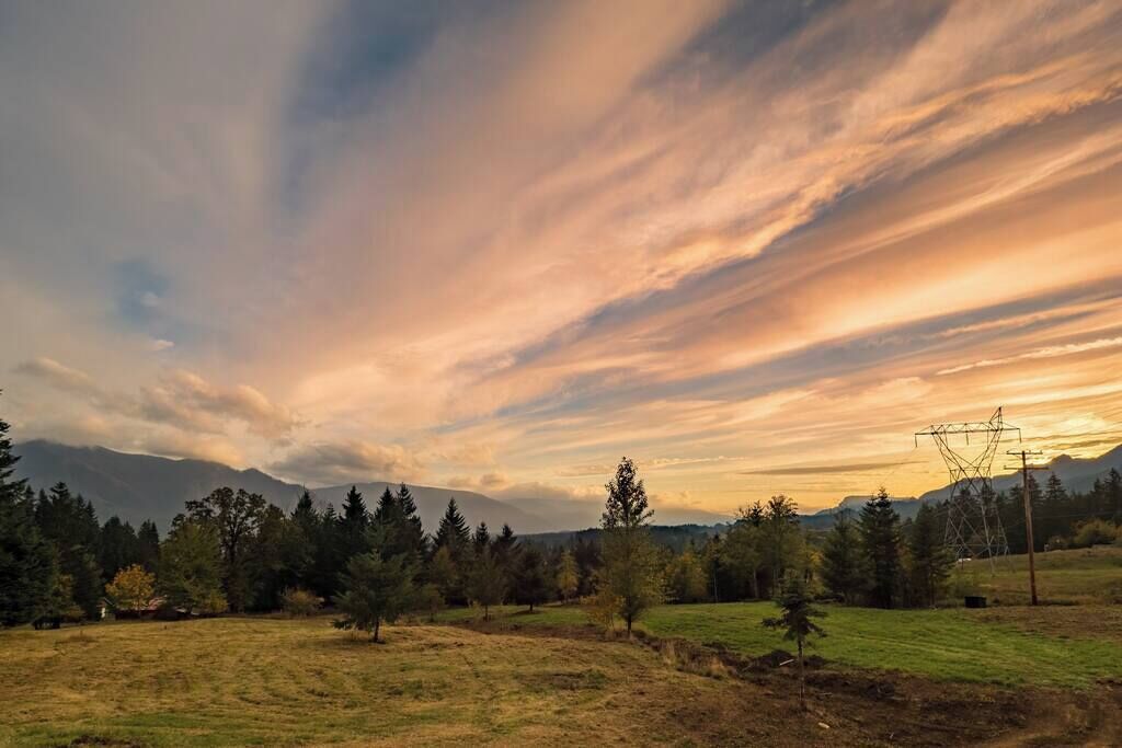 A landscape with a field, trees, and a power line structure.