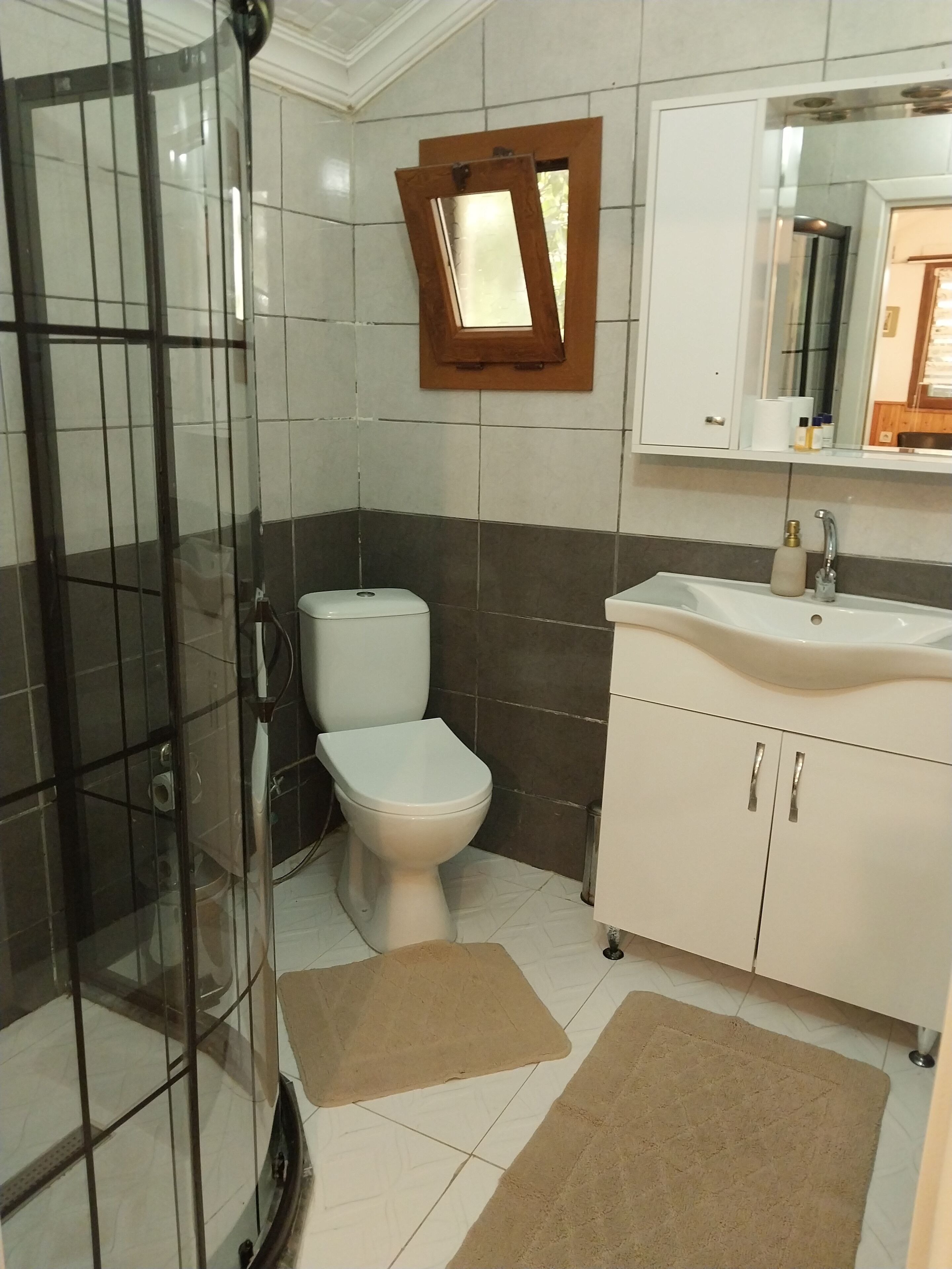 economy cabin | bathroom | shower, free toiletries, hair dryer, slippers