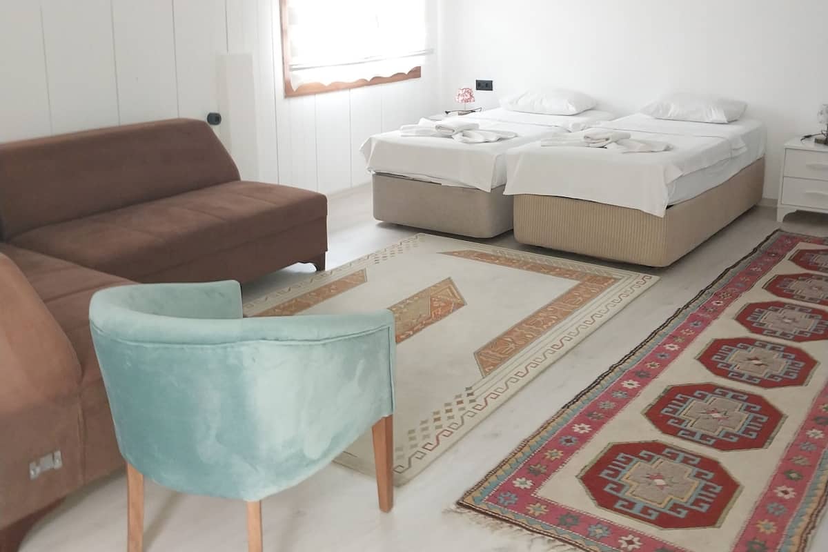 Une pièce avec un canapé marron, un fauteuil bleu clair, deux lits avec du linge de lit blanc, un climatiseur blanc et un tapis à motifs.