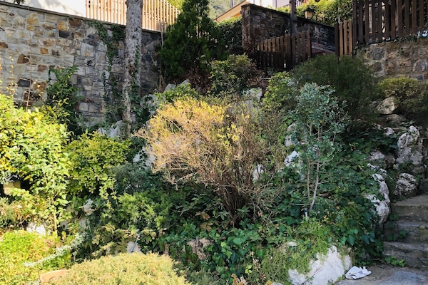 Jardín