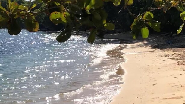 Ein Strand mit klarem Wasser und sandigem Ufer.