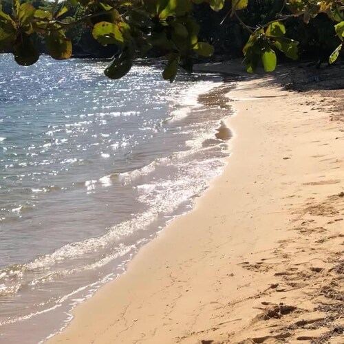 Tryall Gardens Escape