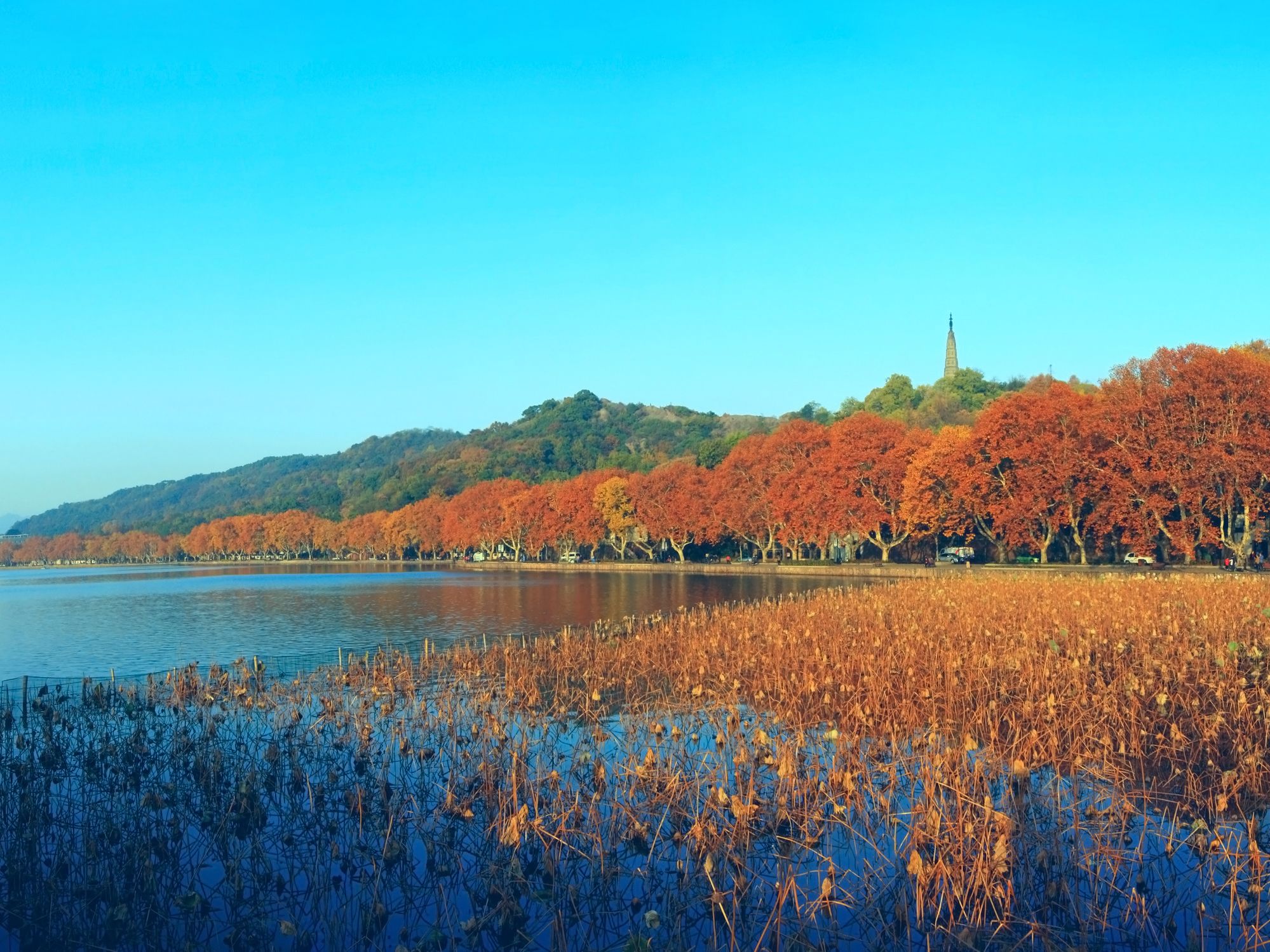 A serene lakeside view with autumn foliage, a distant hill, and a clear sky.