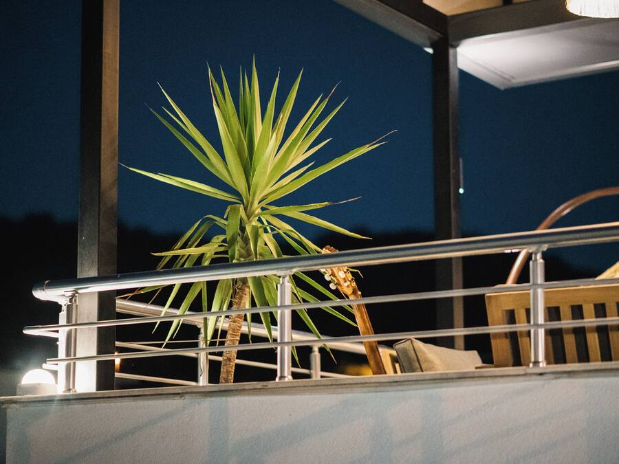 A balcony with a railing, a potted plant, and a wooden chair.