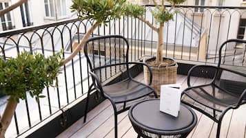 Suite, terras | Terras