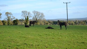 View from property - Skyrne Castle B & B (Skryne)