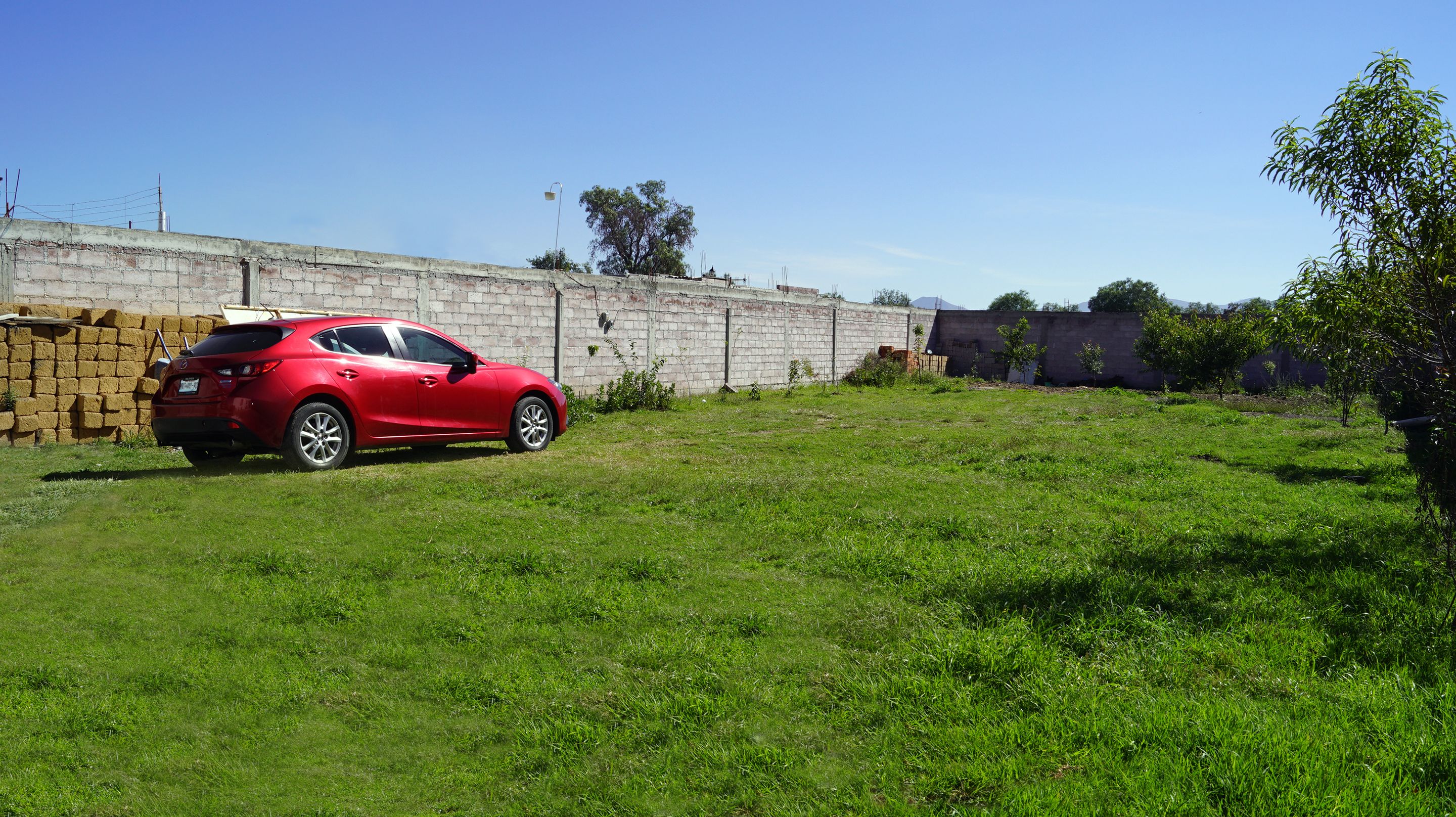 A red car parked in a grassy area with a brick wall and a tree in the background.