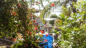 A pool surrounded by lush greenery and flowering plants. - Bora Vaite Lodge (Bora Bora)