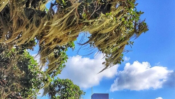 A beach with a wooden pergola and benches, a building with balconies and solar panels, and a clear sky. - Hotel das Figueiras (Sao Lourenco do Sul)