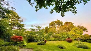 Un jardí amb un camí de pedra, arbustos diversos i arbres.