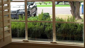 Una ventana con vistas a un coche aparcado y vegetación.