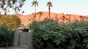 Ein Garten mit Palmen und roten Blüten, ein Tor und ein Gebäude im Hintergrund.