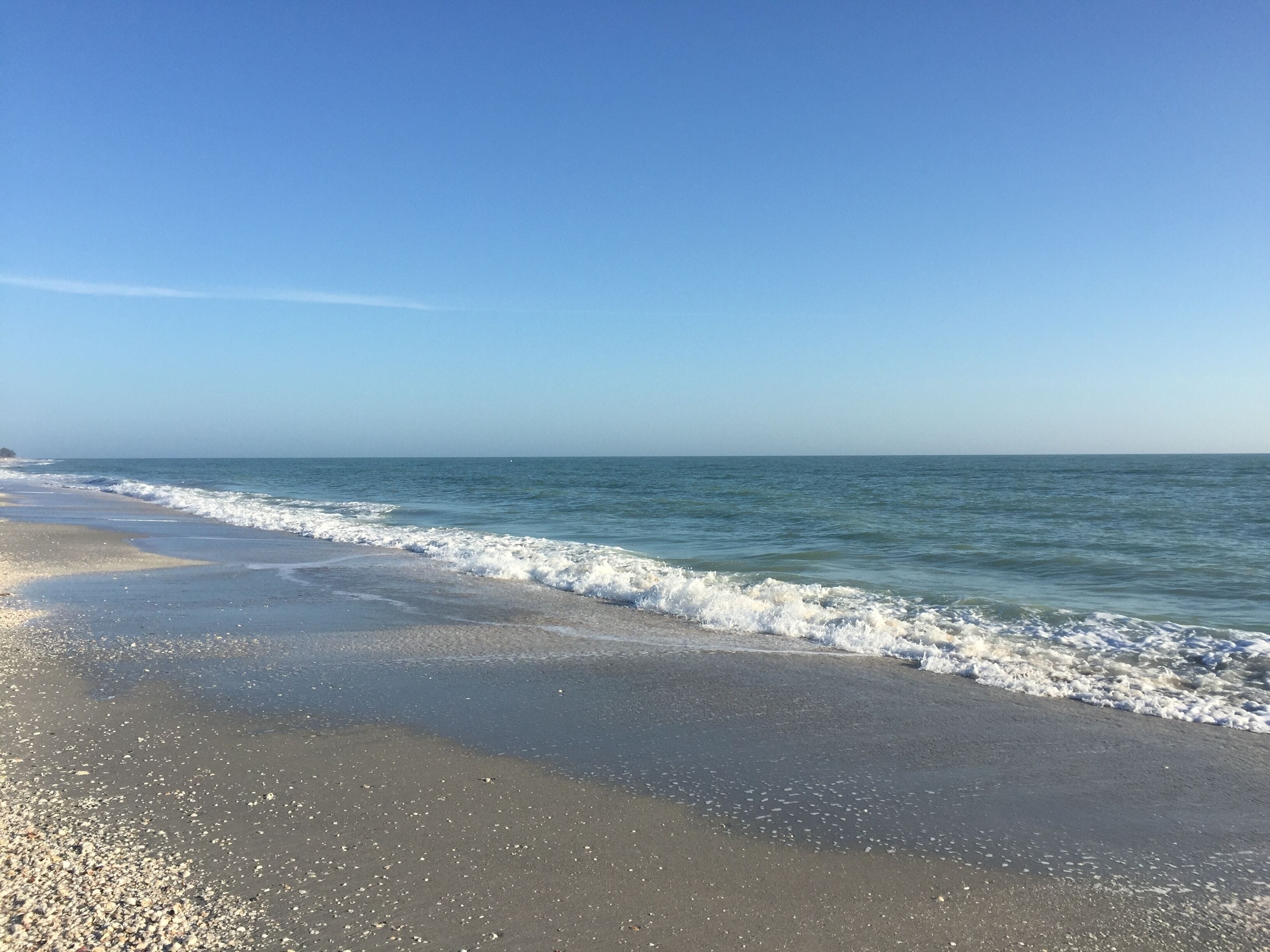 A beach with clear skies and calm waves.