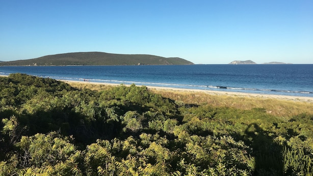 A coastal landscape with a beach, dense greenery, and distant hills. - Golf and Beach Retreat (Collingwood Park)