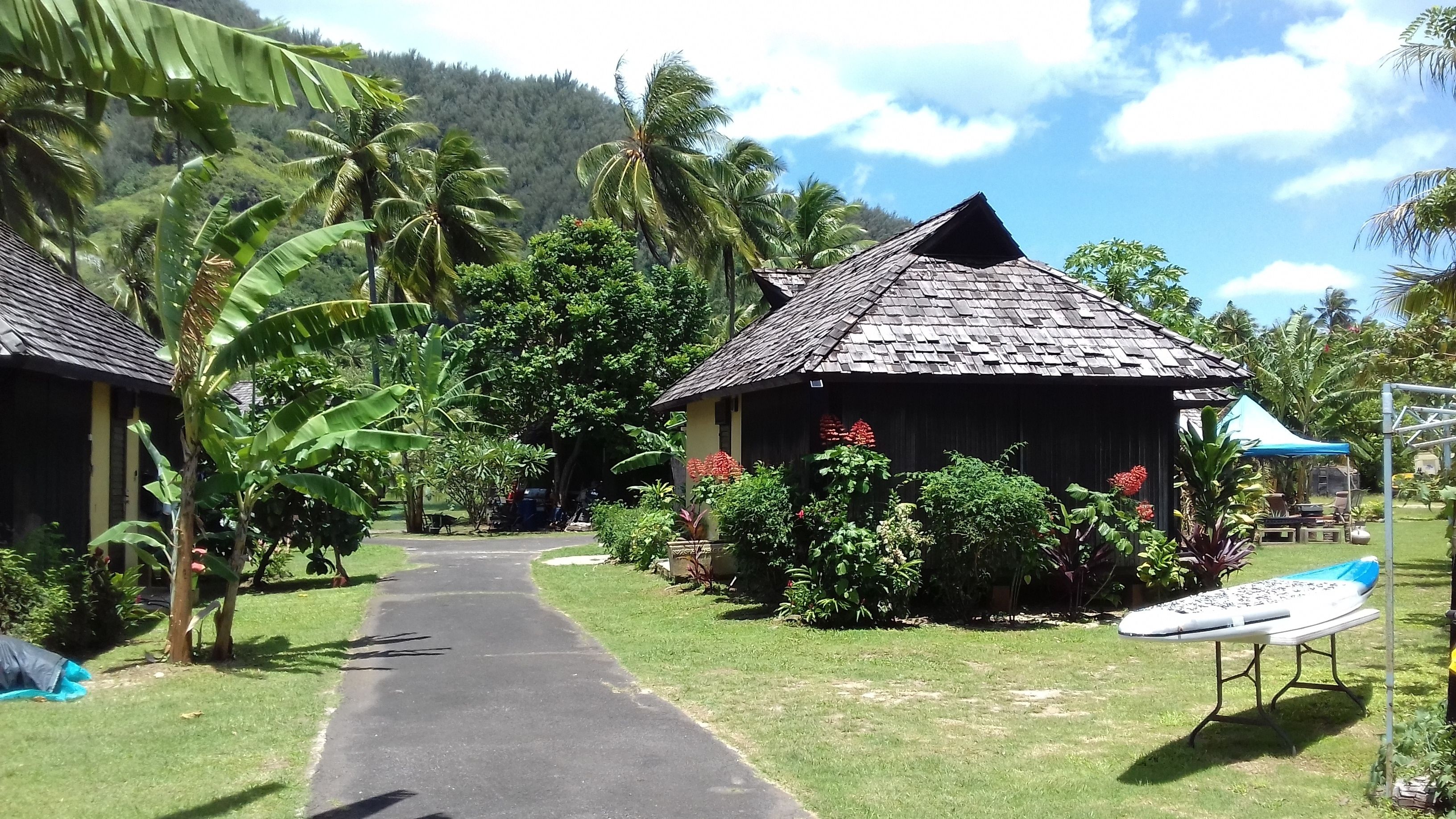 A pathway leading to a rustic building surrounded by lush greenery and palm trees.