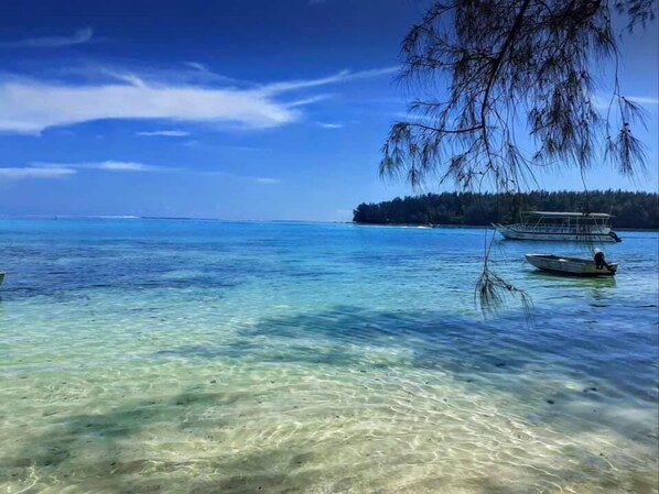 Beach nearby, snorkeling, kayaking