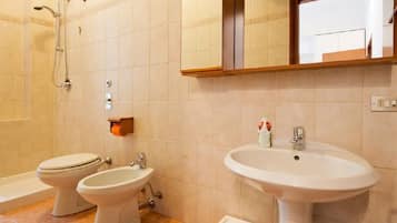 Shower, hair dryer, bidet, towels