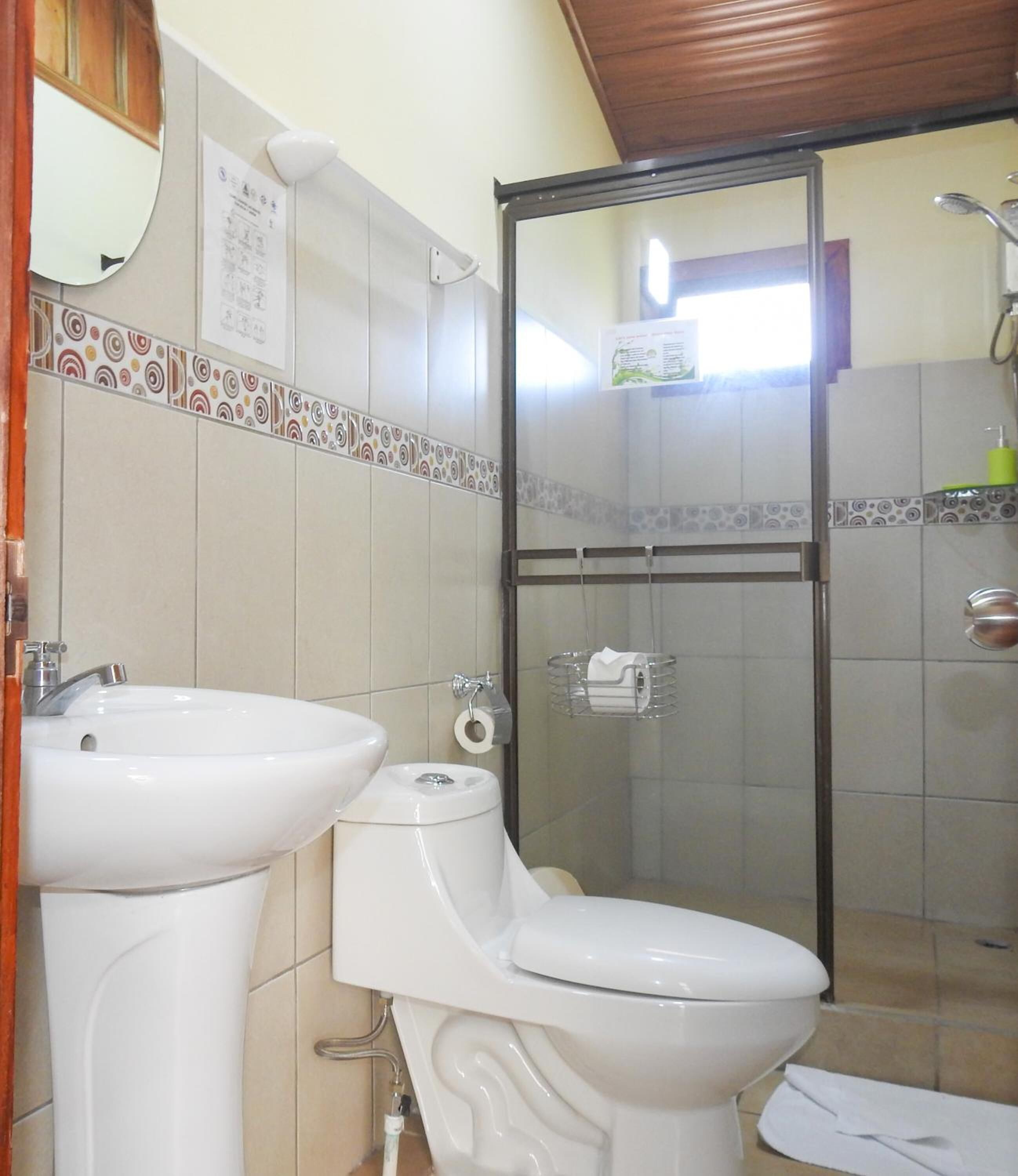 shower, free toiletries, hair dryer, towels