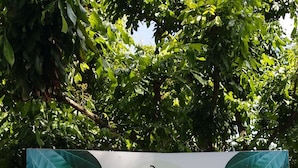 A signboard with Thai text and a house illustration, likely advertising a home stay service. - Baan Saun Homestay by Lamyai Khunmae (Ban Thi)