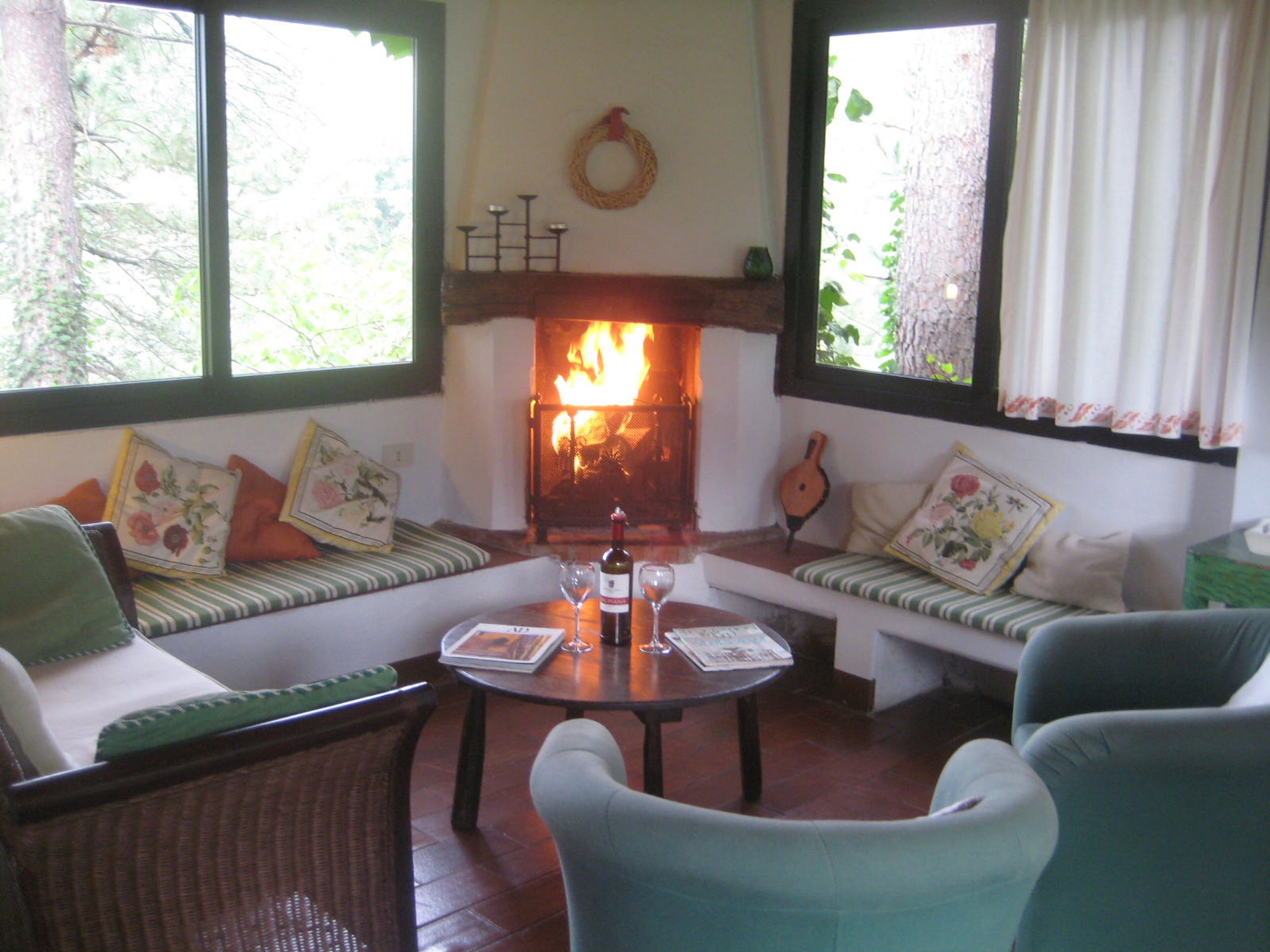 TV, fireplace, books