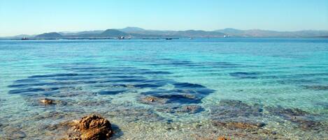 بالقرب من الشاطئ