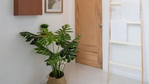 Een gang met een houten deur, een wit schap en een potplant.