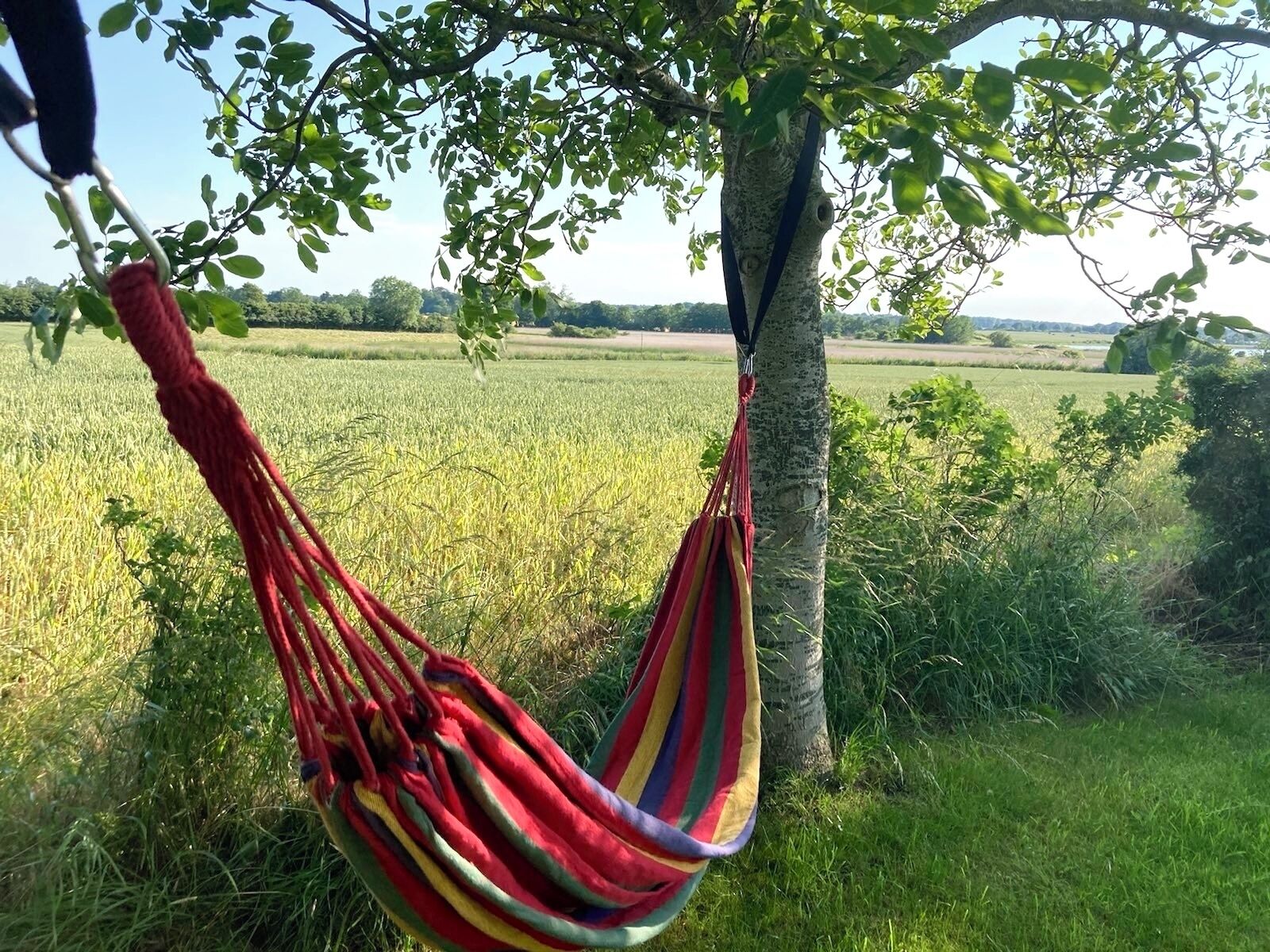 Een hangmat hangt aan een boom in een grasveld.